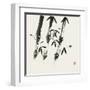 Bamboo Collection I-Nan Rae-Framed Art Print