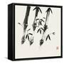 Bamboo Collection I-Nan Rae-Framed Stretched Canvas