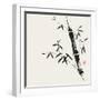 Bamboo Collection II-Nan Rae-Framed Art Print