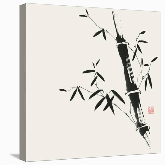 Bamboo Collection II-Nan Rae-Stretched Canvas