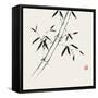 Bamboo Collection III-Nan Rae-Framed Stretched Canvas