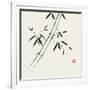 Bamboo Collection III-Nan Rae-Framed Art Print