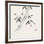 Bamboo Collection III-Nan Rae-Framed Art Print