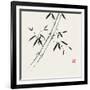 Bamboo Collection III-Nan Rae-Framed Art Print