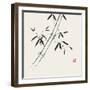 Bamboo Collection III-Nan Rae-Framed Art Print