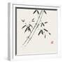 Bamboo Collection III-Nan Rae-Framed Art Print