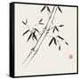 Bamboo Collection III-Nan Rae-Framed Stretched Canvas