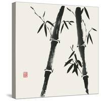 Bamboo Collection IV-Nan Rae-Stretched Canvas