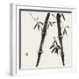 Bamboo Collection IV-Nan Rae-Framed Art Print