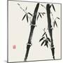 Bamboo Collection IV-Nan Rae-Mounted Art Print