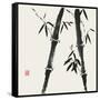 Bamboo Collection IV-Nan Rae-Framed Stretched Canvas