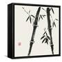Bamboo Collection IV-Nan Rae-Framed Stretched Canvas