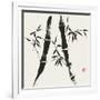 Bamboo Collection V-Nan Rae-Framed Premium Giclee Print