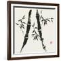 Bamboo Collection V-Nan Rae-Framed Premium Giclee Print