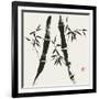 Bamboo Collection V-Nan Rae-Framed Premium Giclee Print