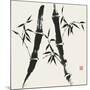 Bamboo Collection V-Nan Rae-Mounted Premium Giclee Print