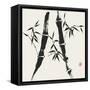 Bamboo Collection V-Nan Rae-Framed Stretched Canvas