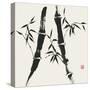 Bamboo Collection V-Nan Rae-Stretched Canvas