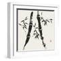 Bamboo Collection V-Nan Rae-Framed Art Print