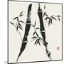 Bamboo Collection V-Nan Rae-Mounted Art Print