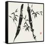 Bamboo Collection V-Nan Rae-Framed Stretched Canvas