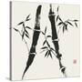 Bamboo Collection V-Nan Rae-Stretched Canvas