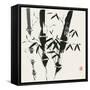 Bamboo Collection VI-Nan Rae-Framed Stretched Canvas