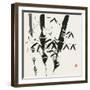 Bamboo Collection VI-Nan Rae-Framed Art Print