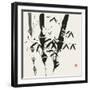 Bamboo Collection VI-Nan Rae-Framed Art Print