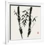 Bamboo Collection VII-Nan Rae-Framed Art Print