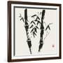 Bamboo Collection VII-Nan Rae-Framed Art Print