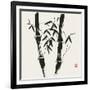 Bamboo Collection VII-Nan Rae-Framed Art Print