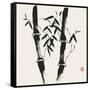 Bamboo Collection VII-Nan Rae-Framed Stretched Canvas