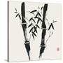 Bamboo Collection VII-Nan Rae-Stretched Canvas