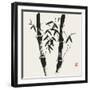 Bamboo Collection VII-Nan Rae-Framed Art Print