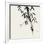 Bamboo Collection VIII-Nan Rae-Framed Art Print