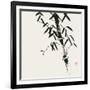 Bamboo Collection VIII-Nan Rae-Framed Art Print