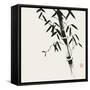 Bamboo Collection VIII-Nan Rae-Framed Stretched Canvas