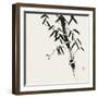 Bamboo Collection VIII-Nan Rae-Framed Art Print