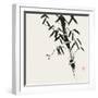 Bamboo Collection VIII-Nan Rae-Framed Art Print