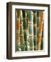 Bamboo, Doi Suthep, Thailand-Kristin Piljay-Framed Photographic Print