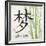 Bamboo Dream-N. Harbick-Framed Premium Giclee Print