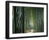 Bamboo Forest, Ginkakuji Temple, Kyoto, Japan-null-Framed Premium Photographic Print