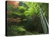 Bamboo Forest, Hokokuji Temple Garden, Kamakura, Kanagawa Prefecture, Japan, Asia-Christian Kober-Stretched Canvas
