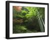 Bamboo Forest, Hokokuji Temple Garden, Kamakura, Kanagawa Prefecture, Japan, Asia-Christian Kober-Framed Photographic Print