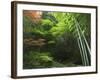 Bamboo Forest, Hokokuji Temple Garden, Kamakura, Kanagawa Prefecture, Japan, Asia-Christian Kober-Framed Photographic Print