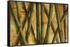 Bamboo Forest I-Patricia Pinto-Framed Stretched Canvas