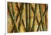 Bamboo Forest I-Patricia Pinto-Framed Art Print