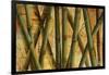 Bamboo Forest I-Patricia Pinto-Framed Art Print