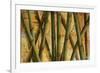 Bamboo Forest I-Patricia Pinto-Framed Art Print